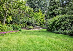 Optimiser l'expérience du jardin à Anglars